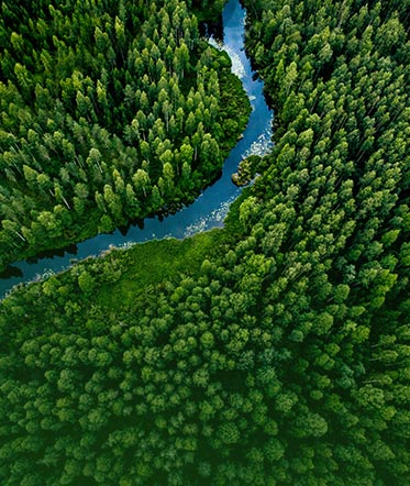 A forest with a smaller river from bird's eye view